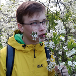 Денис Зорин