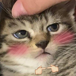 Эдгар Котлевский