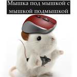 Плужникова Екатерина