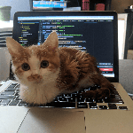 Василий Молотов