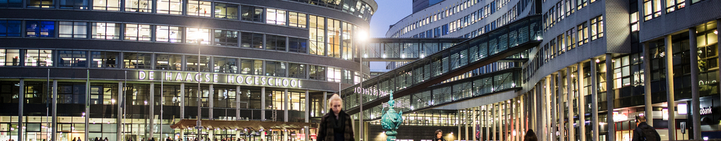 Обложка профиля The Hague University of Applied Sciences