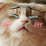 Денис Черных