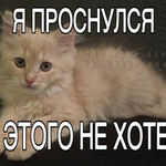 Алиса Скотникова