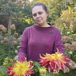 Елена Орлова