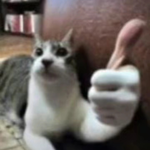 Енисей Ромашко