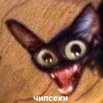 Chiki Chik