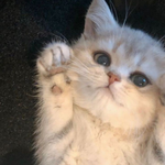 Аня <3