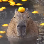 Евгений Зиновьев