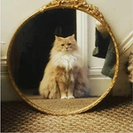 Лидия