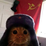 Тимур Гарипов