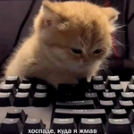 Павел Николаев