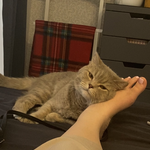 Andrei