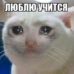 Софья Ларионова