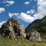 Альбина Баракова