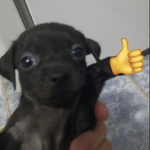 Новикова Маша