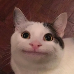 Илья Латте)