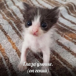 Любовь Константиновна Белезяк
