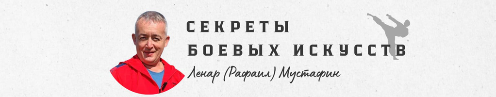Обложка профиля Ленар (Рафаил) Мустафин