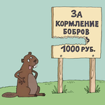 Наталья Калтаева
