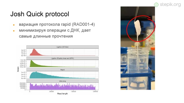 Полногеномное секвенирование: соединяй и властвуй — Шаг 5 — Stepik